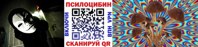 Купить Балей Псилоцибиновые грибы MAGIC MUSHROOMS